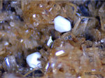 Eifel Mineralien Wannenköpfe Sodalith