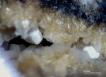 Eifel Mineralien Wannenköpfe Sodalith
