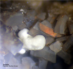 Eifel Mineralien Wannenköpfe Sodalith