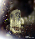 Eifel Mineralien Wannenköpfe Sodalith