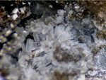 Eifel Mineralien Wannenköpfe Topas