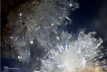 Eifel Mineralien Wannenköpfe Topas