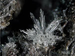 Eifel Mineralien Wannenköpfe Topas