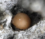 Eifel Mineralien Wannenköpfe Topas
