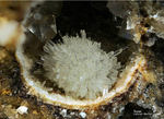 Eifel Mineralien Wannenköpfe Topas