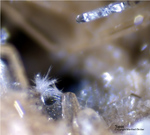 Eifel Mineralien Wannenköpfe Topas