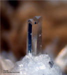 Eifel Mineralien Wannenköpfe Topas