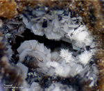 Eifel Mineralien Wannenköpfe Tridymit