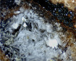 Eifel Mineralien Wannenköpfe Tridymit