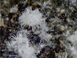 Eifel Mineralien Wingertsberg Aragonit