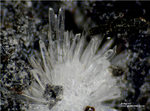 Eifel Mineralien Wingertsberg Aragonit