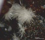 Eifel Mineralien Wingertsberg Aragonit