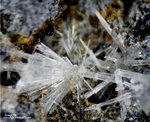 Eifel Mineralien Wingertsberg Aragonit