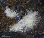 Eifel Mineralien Wingertsberg Aragonit