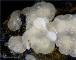 Eifel Mineralien Wingertsberg Calcit