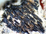Eifel Mineralien Wingertsberg Kaersutit