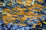 Eifel Mineralien Wingertsberg Kaersutit