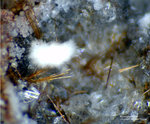 Eifel Mineralien Wingertsberg Klinopyroxen
