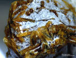 Eifel Mineralien Wingertsberg Klinopyroxen