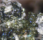 Eifel Mineralien Wingertsberg Klinopyroxen