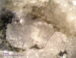 Mineralien Odenwald Erlenbach Calcit