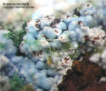 Lavrion Mineralien Christiana Arsenocrandallit