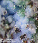 Lavrion Mineralien Christiana Arsenocrandallit