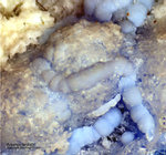 Lavrion Mineralien Christiana Arsenocrandallit