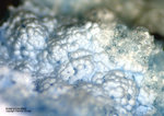 Lavrion Mineralien Christiana Arsenocrandallit