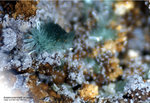 Griechenland Lavrion Mineralien Christiana Arsenocrandallit