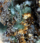 Griechenland Lavrion Mineralien Christiana Arsenocrandallit