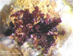 Mineralien Griechenland Lavrion Christiana Karminit