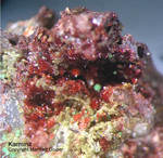 Mineralien Griechenland Lavrion Christiana Karminit