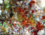 Mineralien Griechenland Lavrion Christiana Karminit
