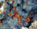 Mineralien Griechenland Lavrion Christiana Karminit
