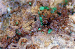 Mineralien Griechenland Lavrion Christiana Karminit