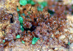 Mineralien Griechenland Lavrion Christiana Karminit
