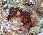 Mineralien Griechenland Lavrion Christiana Karminit