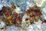 Mineralien Griechenland Lavrion Christiana Karminit