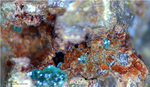 Mineralien Griechenland Lavrion Christiana Karminit