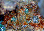 Mineralien Griechenland Lavrion Christiana Karminit