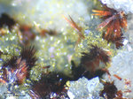 Mineralien Griechenland Lavrion Christiana Karminit