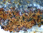 Mineralien Griechenland Lavrion Christiana Karminit