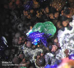 Griechenland Lavrion Mineralien Christiana Malachit