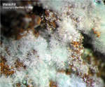 Griechenland Lavrion Mineralien Christiana Malachit
