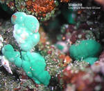 Griechenland Lavrion Mineralien Christiana Malachit