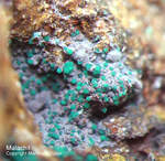 Griechenland Lavrion Mineralien Christiana Malachit
