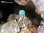 Griechenland Lavrion Mineralien Christiana Malachit