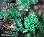 Griechenland Lavrion Mineralien Christiana Malachit