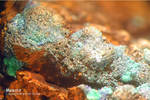 Griechenland Lavrion Mineralien Christiana Malachit